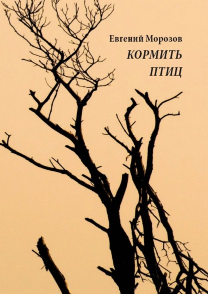 Кормить птиц