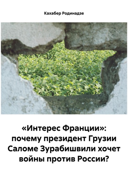 «Интерес Франции»: почему президент Грузии Саломе Зурабишвили хочет войны против России?