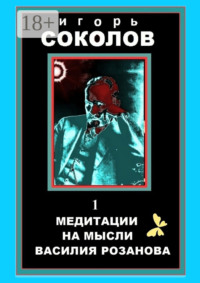 Медитации на мысли Василия Розанова. Том 1