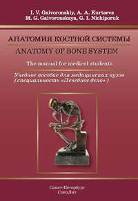 Anatomy of bone system. The manual for medical students / Анатомия костной системы. Учебное пособие для медицинских вузов