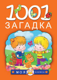 1001 загадка