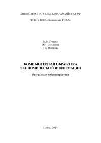 Компьютерная обработка экономической информации