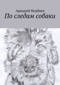 По следам собаки