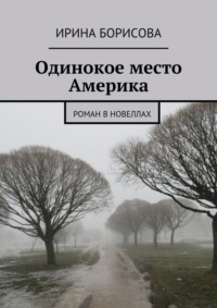 Одинокое место Америка. Роман в новеллах