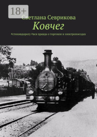Ковчег. #стихивдорогу #вся правда о торговле в электропоездах