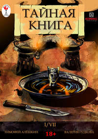 Тайная книга. Глава 1