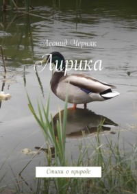 Лирика. Стихи о природе