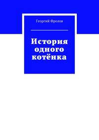 История одного котёнка