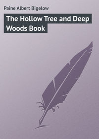 The Hollow Tree and Deep Woods Book