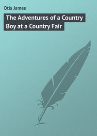 The Adventures of a Country Boy at a Country Fair