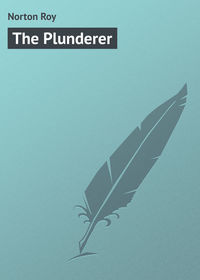 The Plunderer