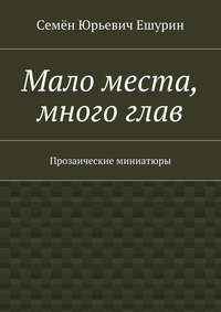 Мало места, много глав. Прозаические миниатюры