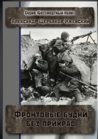 Фронтовые будни без прикрас. Серия «Бессмертный полк»