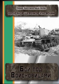 Бой под Войсковицами. Серия «Бессмертный полк»