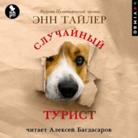 Случайный турист