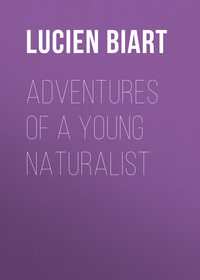 Adventures of a Young Naturalist
