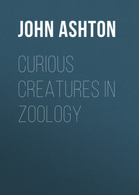 Curious Creatures in Zoology