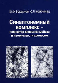 Синаптонемный комплекс – индикатор динамики мейоза и изменчивости хромосом