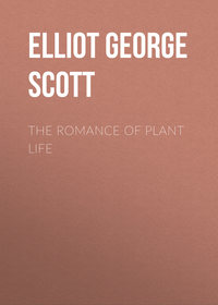 The Romance of Plant Life