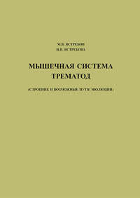 Мышечная система трематод (строение и возможные пути эволюции)