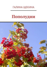 Пополудни. Книга стихов