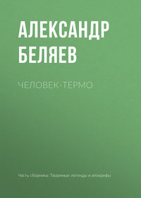 Человек-термо