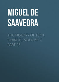 The History of Don Quixote, Volume 2, Part 25