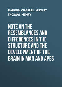 Note on the Resemblances and Differences in the Structure and the Development of the Brain in Man and Apes