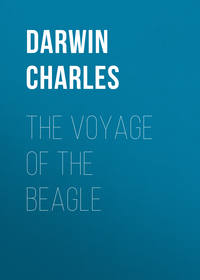 The Voyage of the Beagle