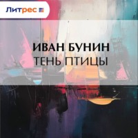 Тень птицы