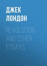 Revolution, and Other Essays