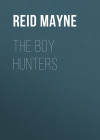 The Boy Hunters