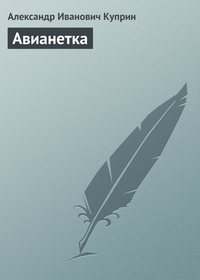 Авианетка