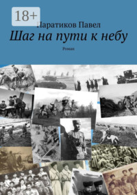 Шаг на пути к небу. Роман