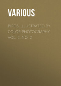 Birds, Illustrated by Color Photography, Vol. 2, No. 2