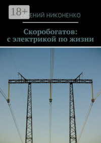 Скоробогатов: с электрикой по жизни
