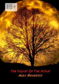 The Velvet Of The Night