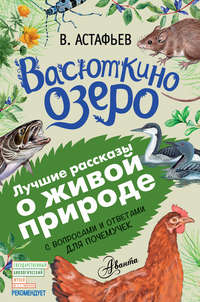 Васюткино озеро. Рассказы с вопросами и ответами для почемучек