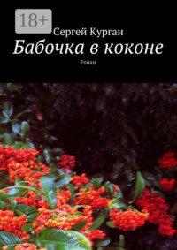 Бабочка в коконе. Роман