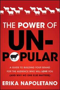 The Power of Unpopular. A Guide to Building Your Brand for the Audience Who Will Love You (and why no one else matters)