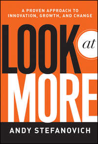 Look at More. A Proven Approach to Innovation, Growth, and Change