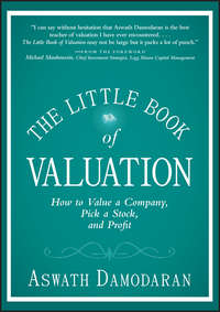 The Little Book of Valuation. How to Value a Company, Pick a Stock and Profit