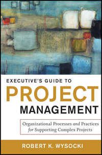 Executive's Guide to Project Management. Organizational Processes and Practices for Supporting Complex Projects