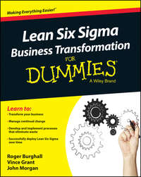 Lean Six Sigma Business Transformation For Dummies