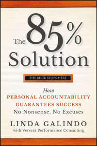 The 85% Solution. How Personal Accountability Guarantees Success -- No Nonsense, No Excuses