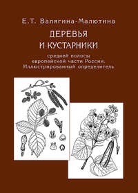 Деревья и кустарники средней полосы европейской части России. Иллюстрированный определитель