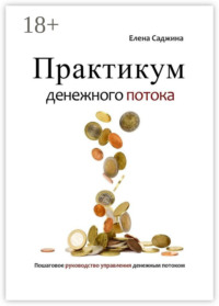 Практикум денежного потока. Пошаговое руководство управления денежным потоком
