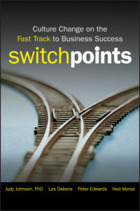 SwitchPoints. Culture Change on the Fast Track to Business Success