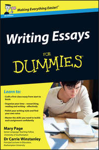 Writing Essays For Dummies