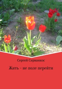 Жить – не поле перейти. Сборник